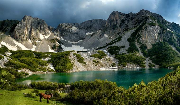 park-pirin.jpg