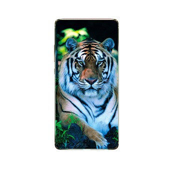 Силиконов Кейс за Samsung Galaxy A12