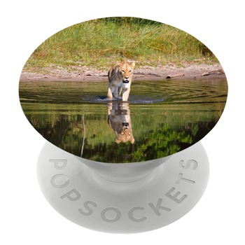 Бял PopSocket с мотив - Лъвица във водата