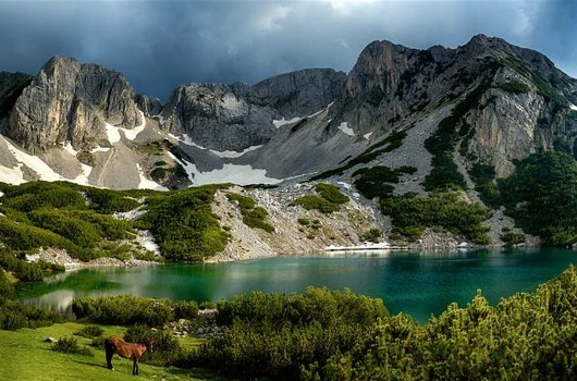 park-pirin.jpg